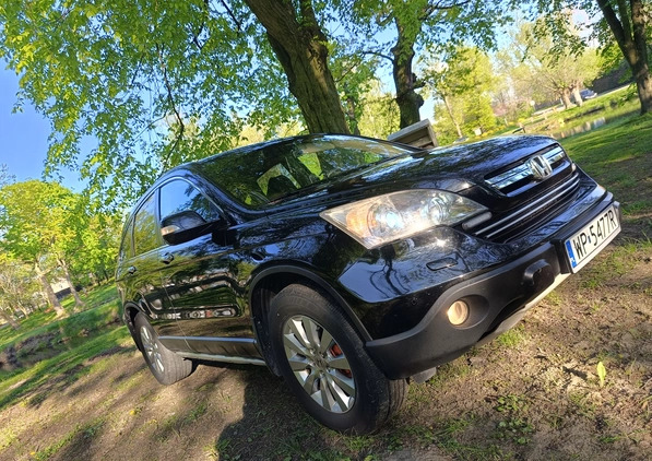 Honda CR-V cena 41700 przebieg: 201000, rok produkcji 2007 z Płock małe 704